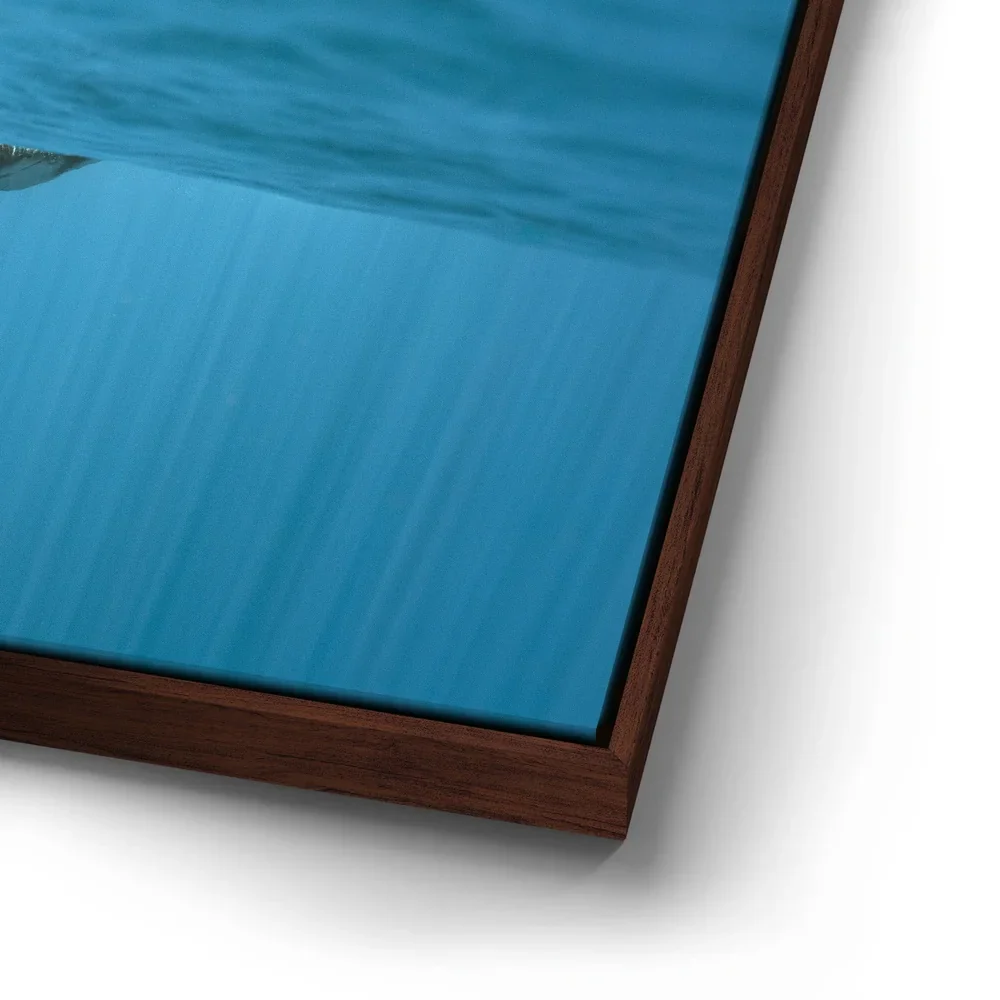 Thumbnail 14